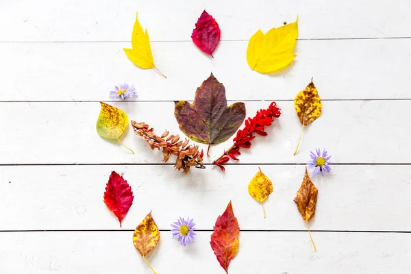 Herfst samenstelling gemaakt van gevallen bladeren op witte achtergrond — Stockfoto