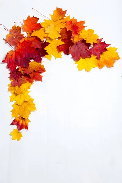 Herfst samenstelling gemaakt van gevallen bladeren op witte achtergrond — Stockfoto