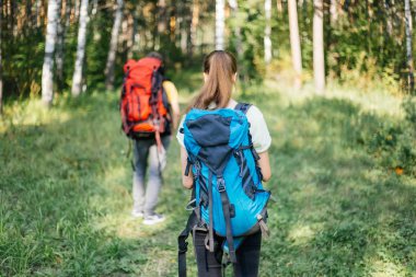 birkaç turist bir ormanda hiking sırt çantaları