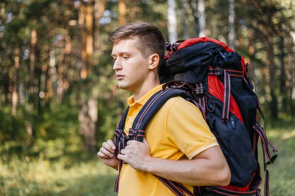 Birkaç turist bir ormanda hiking sırt çantaları — Stok fotoğraf