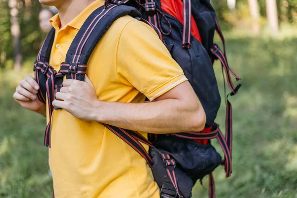 Birkaç turist bir ormanda hiking sırt çantaları — Stok fotoğraf