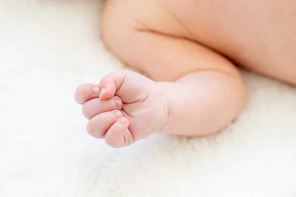 Schattige pasgeboren baby op de eerste maanden van het leven — Stockfoto