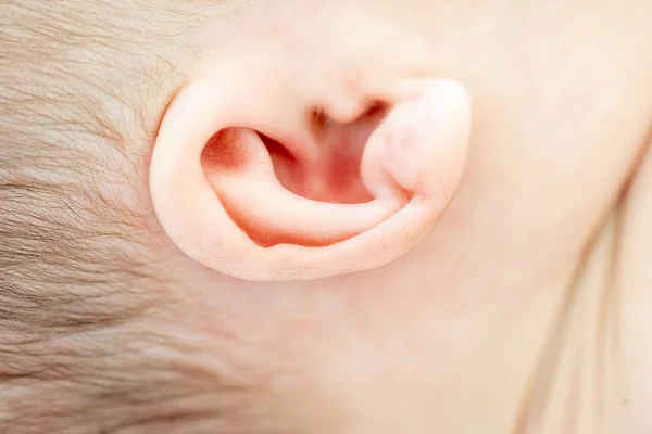 Schattige pasgeboren baby op de eerste maanden van het leven — Stockfoto