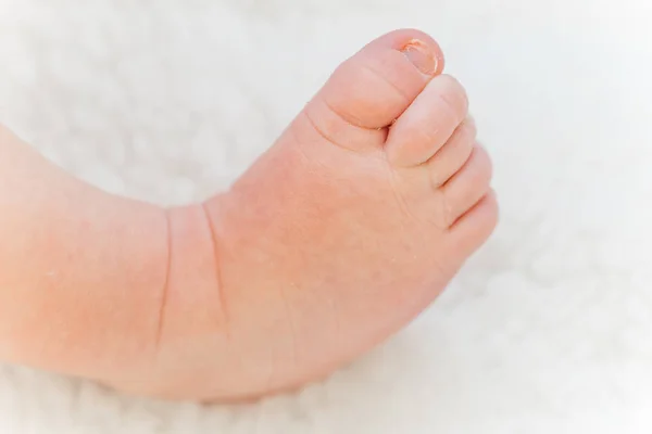 Schattige pasgeboren baby op de eerste maanden van het leven — Stockfoto