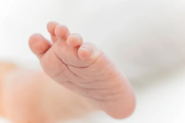 Schattige pasgeboren baby op de eerste maanden van het leven — Stockfoto