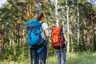 birkaç turist bir ormanda hiking sırt çantaları