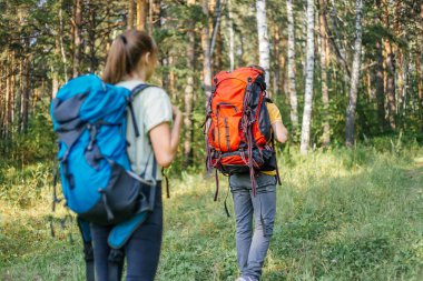 birkaç turist bir ormanda hiking sırt çantaları