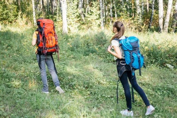 Para turystów z plecakami, wędrówki w lesie — Zdjęcie stockowe