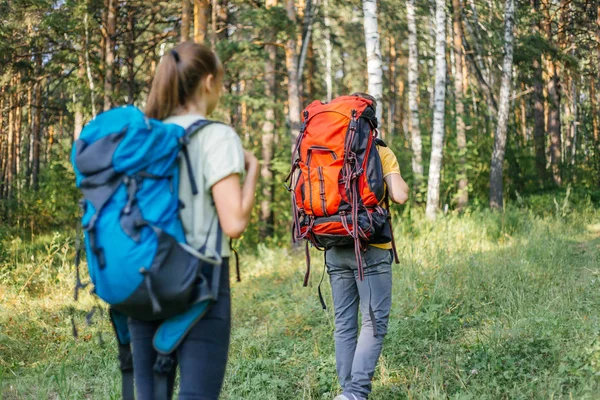 Birkaç turist bir ormanda hiking sırt çantaları — Stok fotoğraf