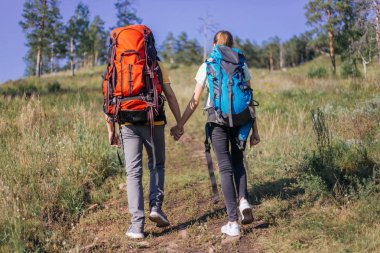 birkaç turist bir ormanda hiking sırt çantaları