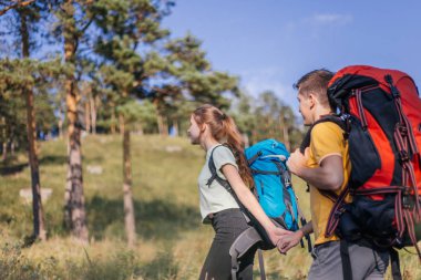 birkaç turist bir dağa hiking sırt çantaları