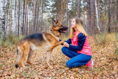Bir kız köpeğini renkli sonbahar ormanda yürüyüş