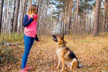 Bir kız köpeğini renkli sonbahar ormanda yürüyüş