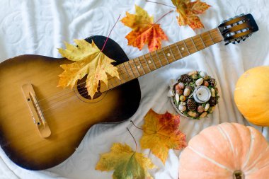 Kuru yapraklar ve olgun kabaklar sonbahar kompozisyonu