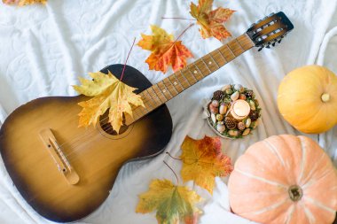 Kuru yapraklar ve olgun kabaklar sonbahar kompozisyonu