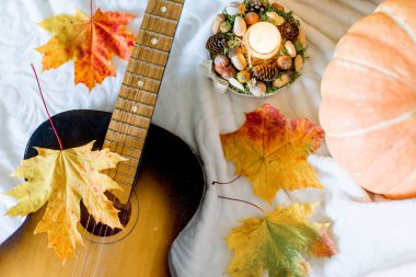 Kuru yapraklar ve olgun kabaklar sonbahar kompozisyonu