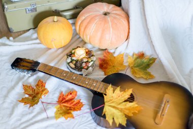 Kuru yapraklar ve olgun kabaklar sonbahar kompozisyonu