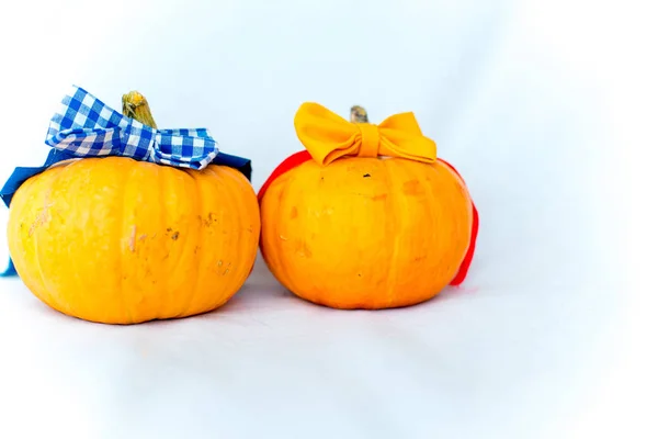 Conceito de férias de Halloween. composição feita de abóboras de laranja — Fotografia de Stock