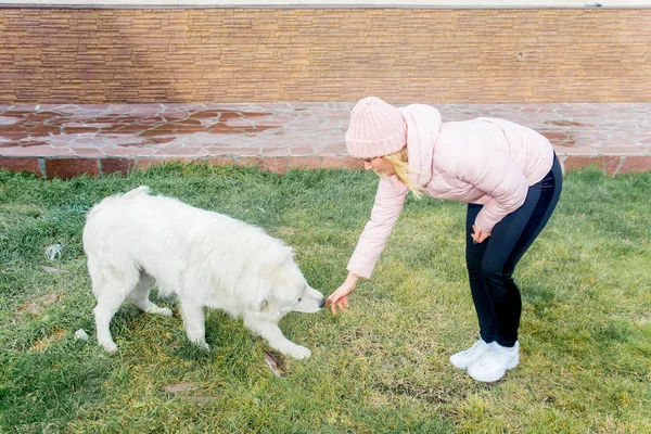 Güzel bir kadın onu köpek yürüyor