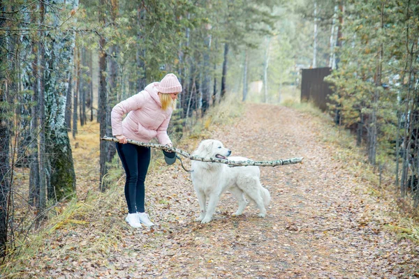 Güzel bir kadın onu köpek yürüyor