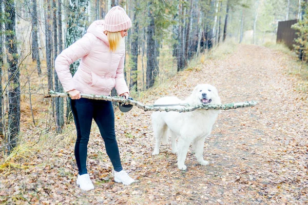Güzel bir kadın onu köpek yürüyor