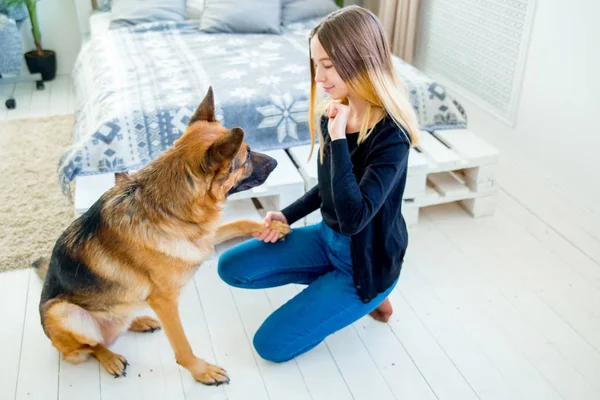 집에서 그녀의 개를 훈련 하는 여자의 초상화 — 스톡 사진