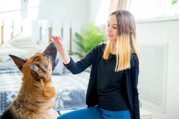 집에서 그녀의 개를 훈련 하는 여자의 초상화 — 스톡 사진