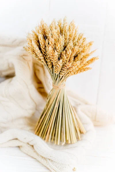 Fenda de espigas de trigo e grãos de trigo — Fotografia de Stock