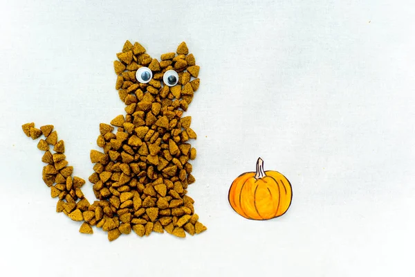 Figura de gato hecha de comida seca para mascotas — Foto de Stock