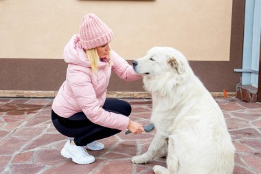 Güzel bir kadın onu köpek yürüyor