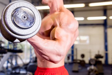 erkek vücut geliştirmeci bir spor salonunda egzersizleri yapıyor