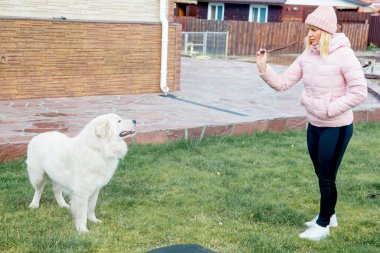 Güzel bir kadın onu köpek yürüyor