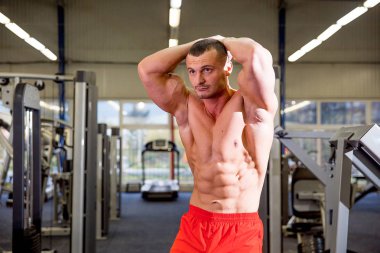 erkek vücut geliştirmeci bir spor salonunda egzersizleri yapıyor