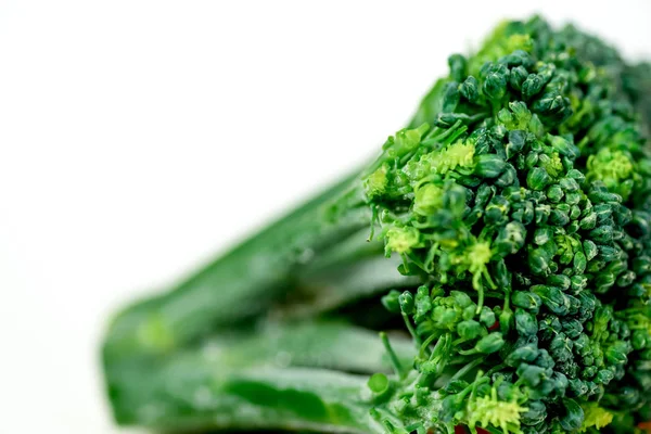 Fresh Group Vegetables White Background Pepper Broccoli Onion Garlic — Stock Photo, Image