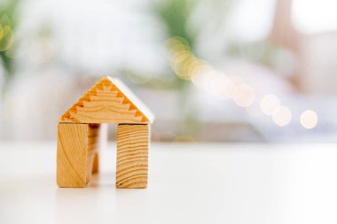 bir evin bir model bir çanta dolusu para ile