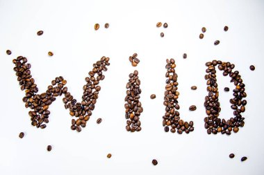 beyaz bir arka plan üzerinde kahve çekirdekleri kompozisyon