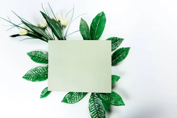 Nota adhesiva verde con hojas de plantas verdes — Foto de Stock