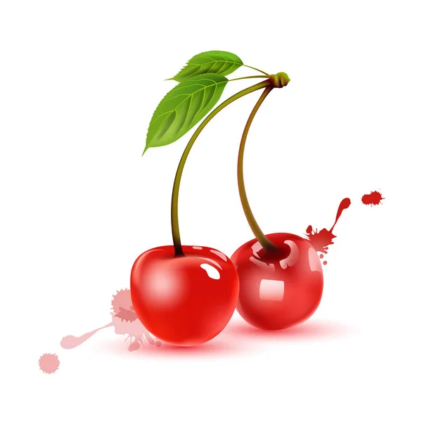 两个成熟的樱桃 白色背景 美味的食物 维生素 3D效果 矢量图解 Eps10 — 图库矢量图片