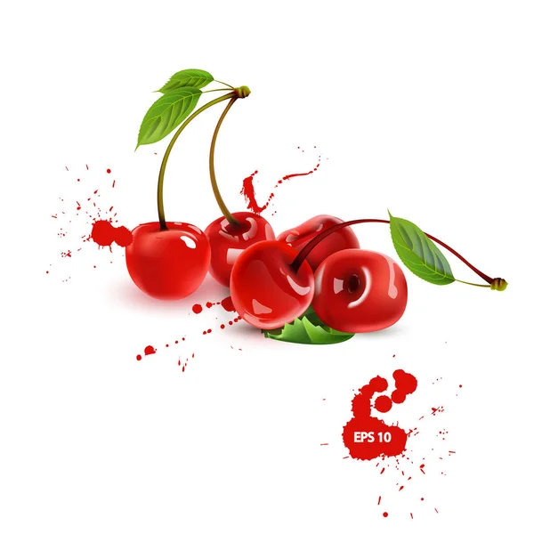 红色成熟的樱桃浆果 有少许果汁 现实的3D孤立向量示例 — 图库矢量图片
