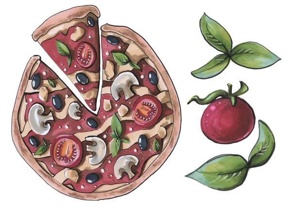 슬라이스 토마토 Olives Basil Leaf Illustration — 스톡 사진