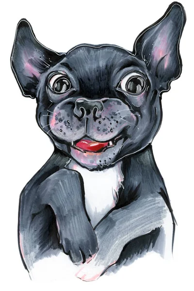 Ilustração Desenho Marcadores Lápis Animal Cão Cachorro Francês Bulldog Preto — Fotografia de Stock