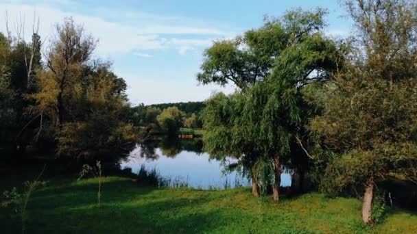 Le paysage du lac d'été.