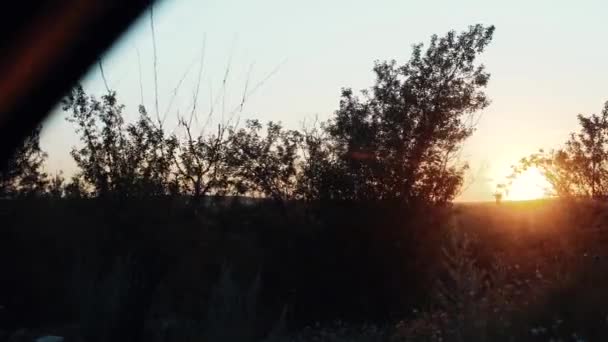 阳光透过树木照耀着.在黄昏时从一辆行驶中的汽车的窗户射中 — 图库视频影像