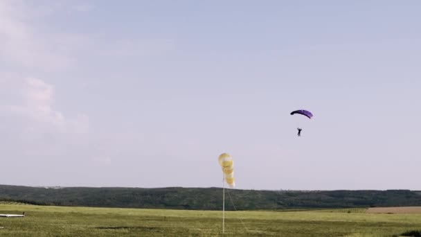 Breed grondframe met een paratroeper die op een vliegveld landt. Paarse parachute — Stockvideo
