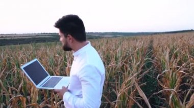 Yakışıklı ciddi tarım mühendisi, mısır tarlasında yürüyor kuraklıktan ciddi şekilde etkilenmiş.
