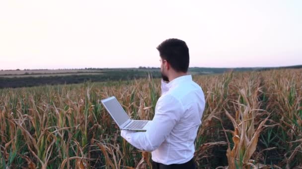 Businessman on the damaged corn field talking on the phone very agitated. — Stock Video