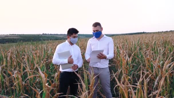 Två agronomer diskuterar en ny typ av bevattningssystem i ett majsfält. — Stockvideo