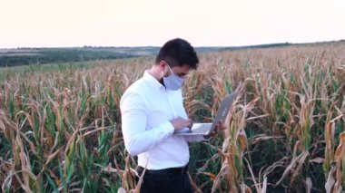 Kuraklık sırasında mahsulleri kontrol eden biri, neredeyse. Zarar görmüş kültür konsepti