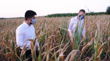 2020 'deki kuraklıkta yüzü maskeli iki çiftçi hayal kırıklığına uğradı.