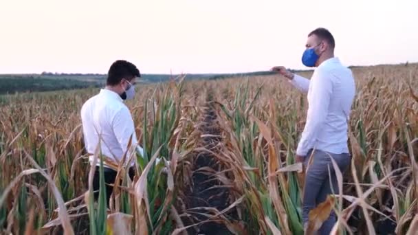 Два фермери з масками на обличчях розчаровані посухою 2020 року — стокове відео